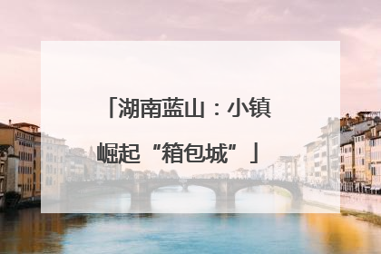湖南蓝山：小镇崛起“箱包城”