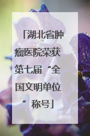 湖北省肿瘤医院荣获第七届“全国文明单位”称号