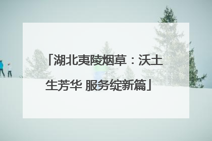 湖北夷陵烟草：沃土生芳华 服务绽新篇