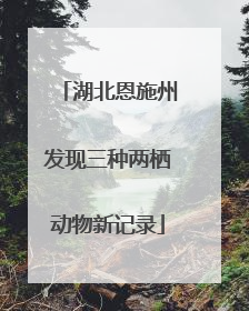 湖北恩施州发现三种两栖动物新记录