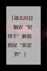 湖北房县：烟农“好帮手”解锁植保“新姿势”