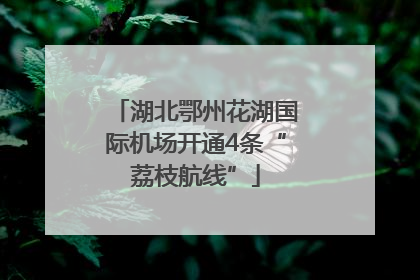 湖北鄂州花湖国际机场开通4条“荔枝航线”