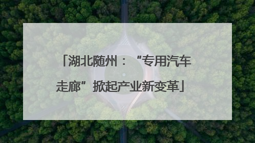 湖北随州：“专用汽车走廊”掀起产业新变革