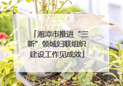 湘潭市推进“三新”领域妇联组织建设工作见成效