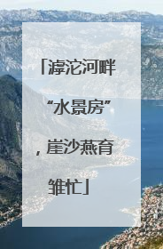 滹沱河畔“水景房”，崖沙燕育雏忙
