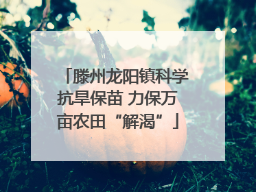 滕州龙阳镇科学抗旱保苗 力保万亩农田“解渴”