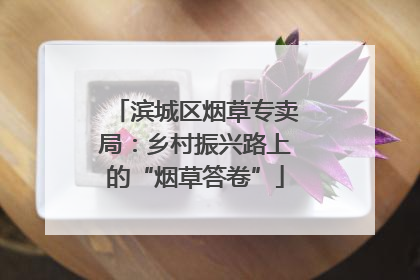 滨城区烟草专卖局：乡村振兴路上的“烟草答卷”