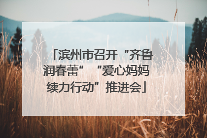 滨州市召开“齐鲁润春蕾”“爱心妈妈续力行动”推进会
