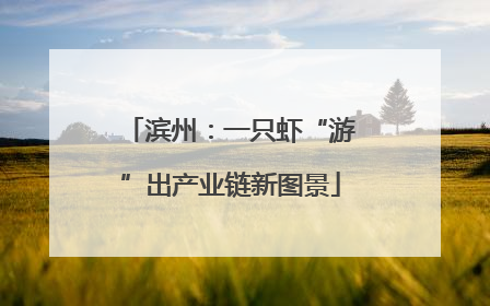 滨州：一只虾“游”出产业链新图景