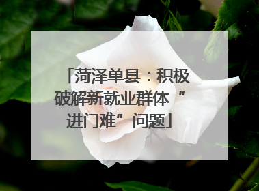 菏泽单县：积极破解新就业群体“进门难”问题