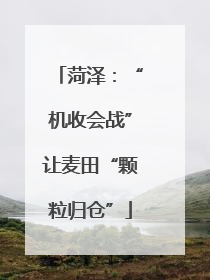 菏泽：“机收会战”让麦田“颗粒归仓”