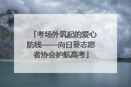 考场外筑起的爱心防线——向日葵志愿者协会护航高考