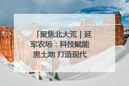 聚焦北大荒｜延军农场：科技赋能黑土地 打造现代农业“智慧芯”