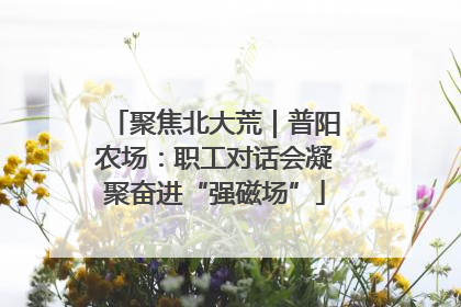 聚焦北大荒｜普阳农场：职工对话会凝聚奋进“强磁场”