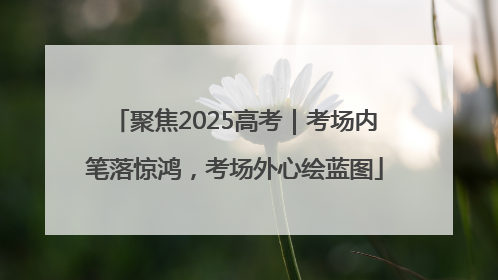 聚焦2025高考｜考场内笔落惊鸿，考场外心绘蓝图