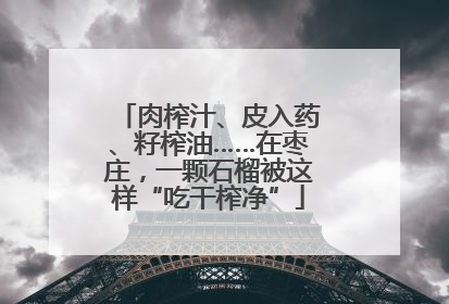 肉榨汁、皮入药、籽榨油……在枣庄，一颗石榴被这样“吃干榨净”