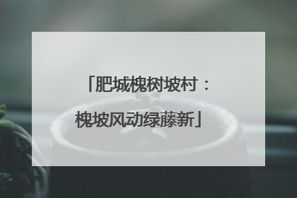 肥城槐树坡村：槐坡风动绿藤新