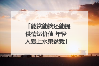 能赏能摘还能提供情绪价值 年轻人爱上水果盆栽
