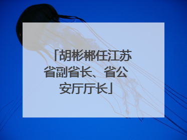 胡彬郴任江苏省副省长、省公安厅厅长