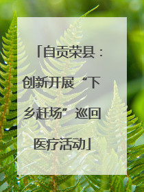 自贡荣县：创新开展“下乡赶场”巡回医疗活动
