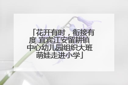 花开有时，衔接有度 宜宾江安留耕镇中心幼儿园组织大班萌娃走进小学