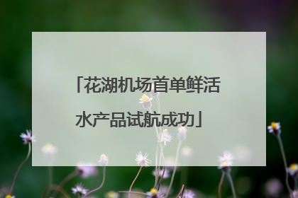花湖机场首单鲜活水产品试航成功
