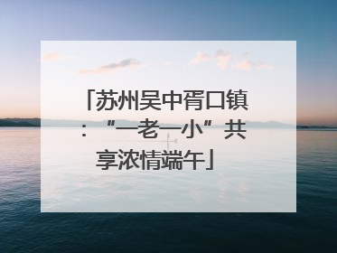 苏州吴中胥口镇：“一老一小”共享浓情端午