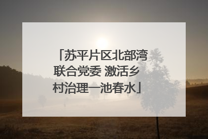 苏平片区北部湾联合党委 激活乡村治理一池春水