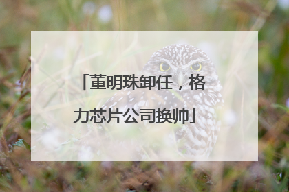 董明珠卸任，格力芯片公司换帅
