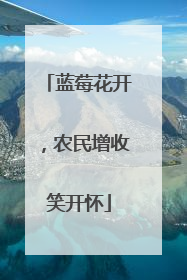 蓝莓花开，农民增收笑开怀