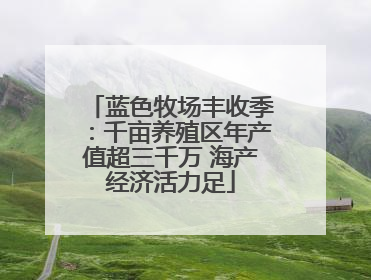 蓝色牧场丰收季：千亩养殖区年产值超三千万 海产经济活力足