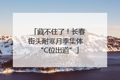 藏不住了！长春街头耐寒月季集体“C位出道”