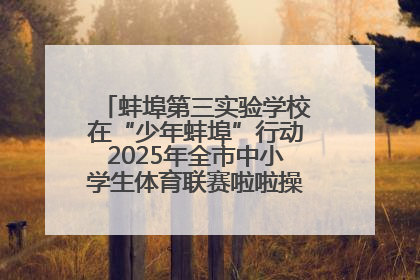 蚌埠第三实验学校在“少年蚌埠”行动2025年全市中小学生体育联赛啦啦操比赛中获佳绩