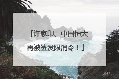 许家印、中国恒大再被签发限消令！