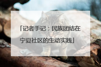 记者手记：民族团结在宁夏社区的生动实践