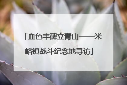 血色丰碑立青山——米峪镇战斗纪念地寻访