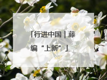 行进中国｜藤编“上新”