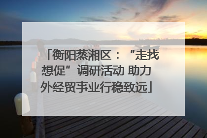 衡阳蒸湘区：“走找想促”调研活动 助力外经贸事业行稳致远