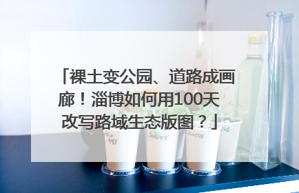 裸土变公园、道路成画廊！淄博如何用100天改写路域生态版图？