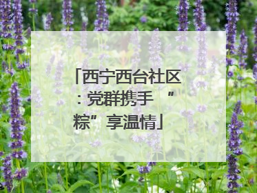 西宁西台社区：党群携手 “粽”享温情