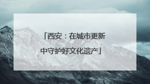 西安：在城市更新中守护好文化遗产