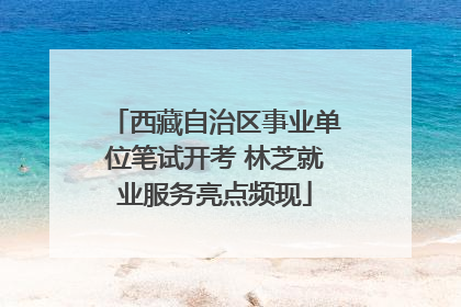 西藏自治区事业单位笔试开考 林芝就业服务亮点频现