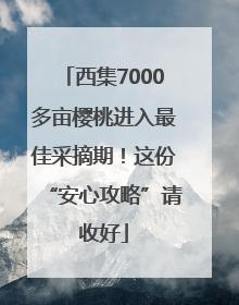 西集7000多亩樱桃进入最佳采摘期！这份“安心攻略”请收好
