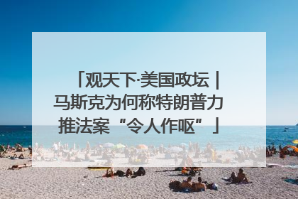 观天下·美国政坛｜马斯克为何称特朗普力推法案“令人作呕”