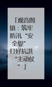观音阁镇：筑牢防汛“安全堤” 打好抗洪“主动仗”