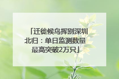 迁徙候鸟挥别深圳北归：单日监测数量最高突破2万只