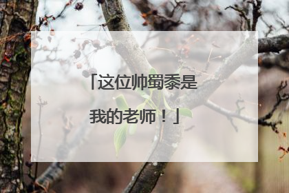 这位帅蜀黍是我的老师！