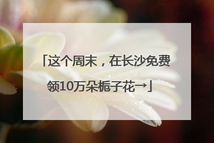 这个周末，在长沙免费领10万朵栀子花→