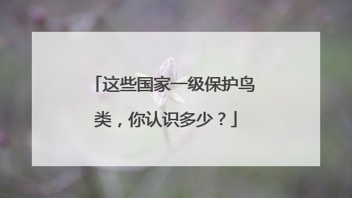 这些国家一级保护鸟类，你认识多少？