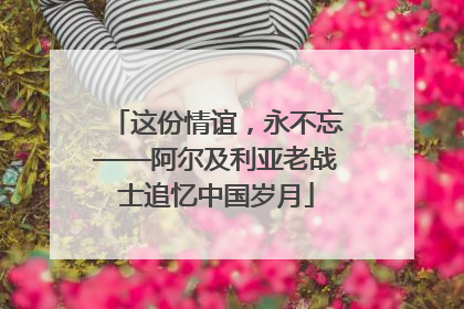 这份情谊，永不忘——阿尔及利亚老战士追忆中国岁月